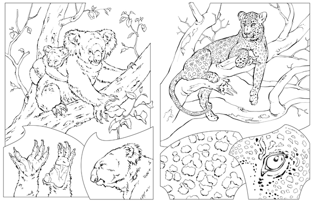 770 Top Coloring Pages Animals National Geographic For Free